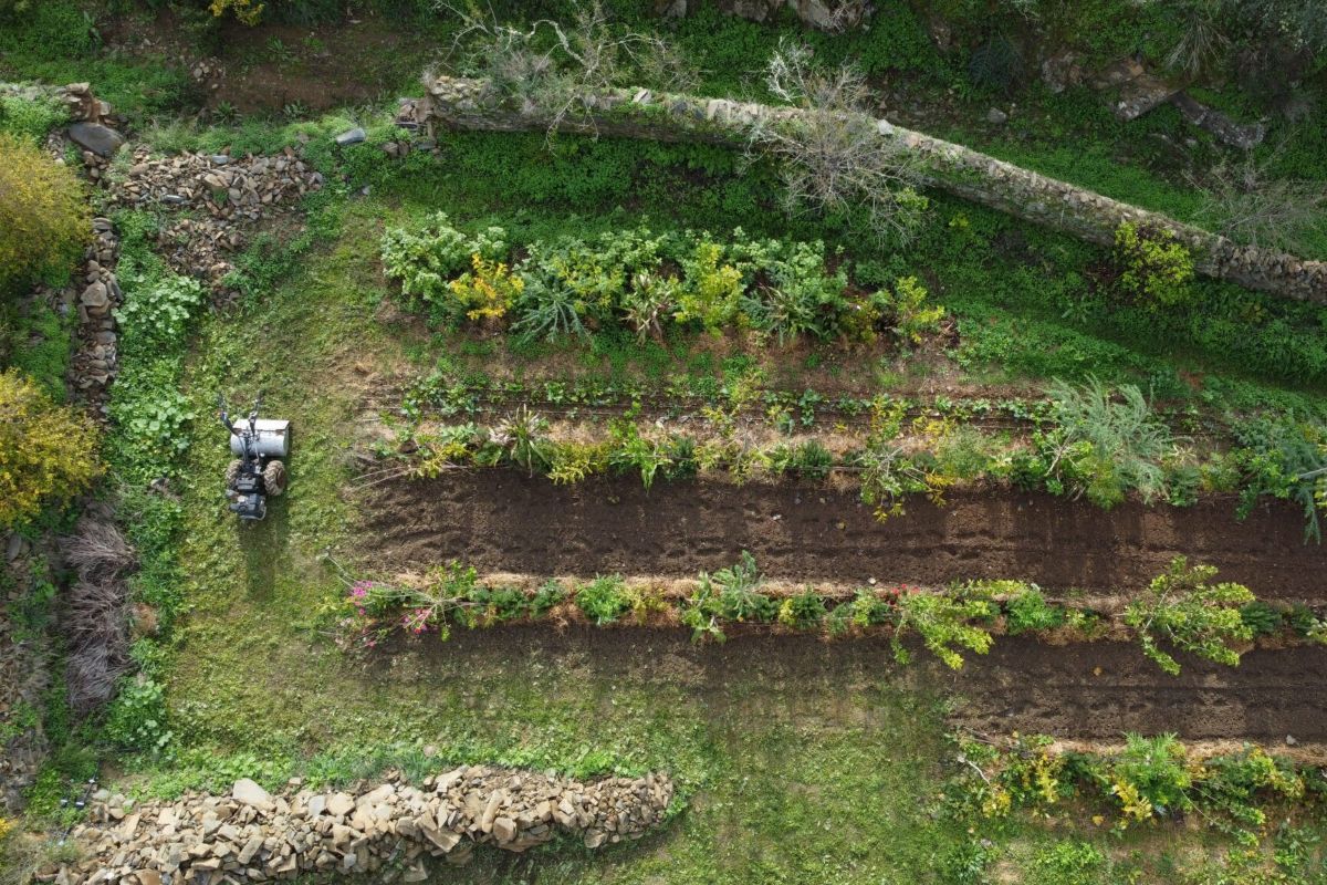 Terra Sintropica from above.jpg